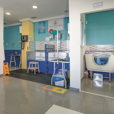 LAVACAN EXPRESS SPA