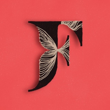 Fibra Branding