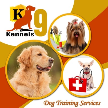 Kennels9 K9