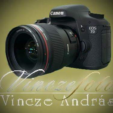 Vinczefoto