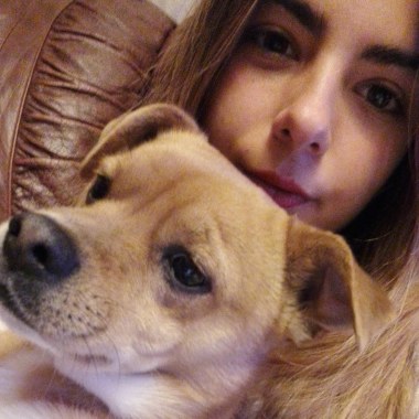 Cuidados