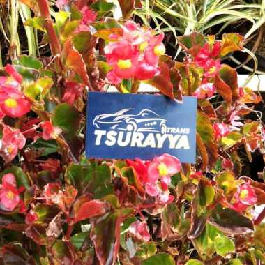 Tsurayya Trans