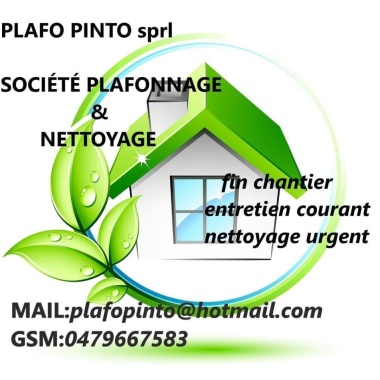 PlafoPinto