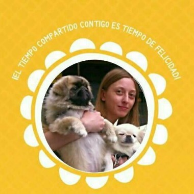 Cuidando mascotas