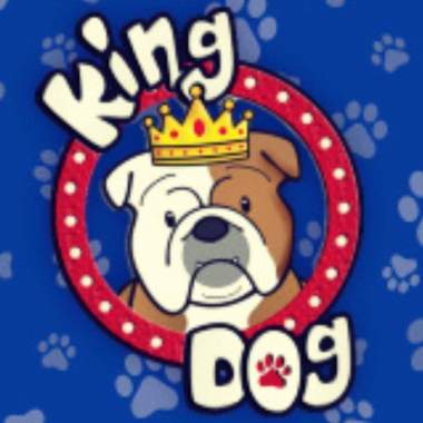 King Dog Estética Canina