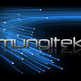 Mungitek :: Servicios Informáticos