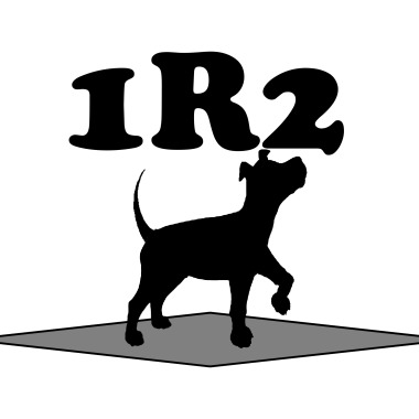 Un Air de Chien - Éducateur Canin Diplômé d’Etat