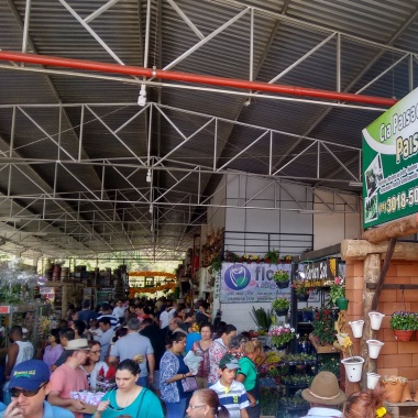 Cia Paisagistica Bauru
