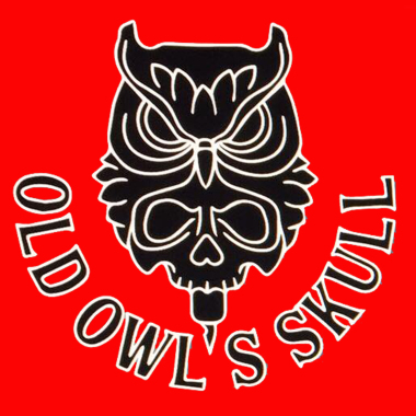 Old Owl's Skull Tattoo