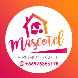 MASCOTEL: HOTEL PARA MASCOTAS