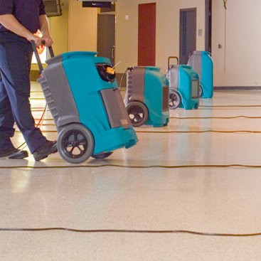 Water Removal Melbourne