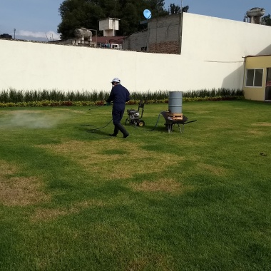 Biocimex SA de CV