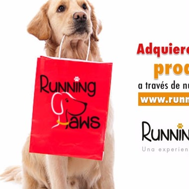Running Paws