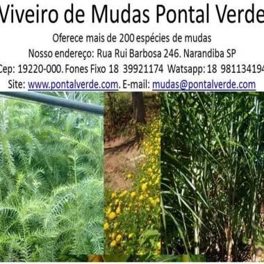 Utilizamos nossos próprios produtos
