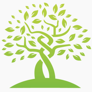 Tree Services Vancouver