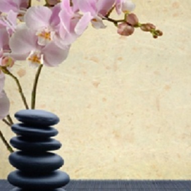 A Kneaded Calm Massage