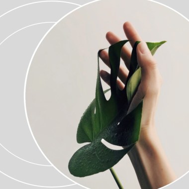 PhysisNoa: Medicina Integrativa