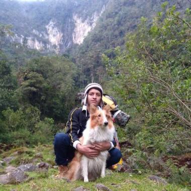 Paseo de mascota
