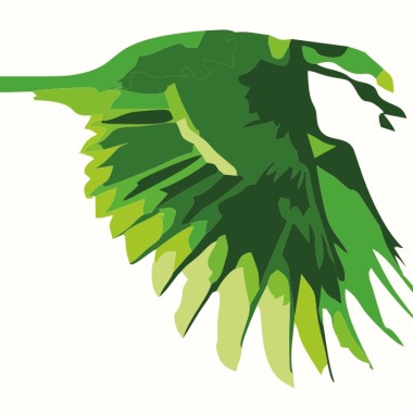 Hydroflora servicios comunidades, s.l.u.