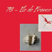 Adèle Arts  Coaching IdF - Consultant personnel / Professionnel