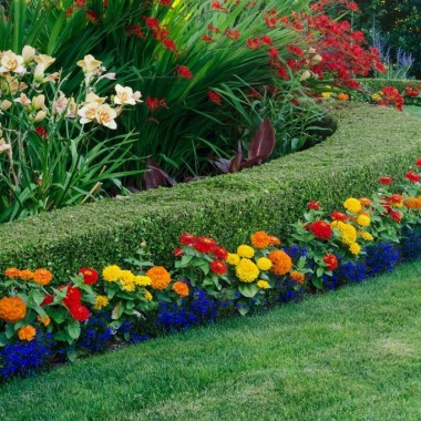 FLORA GARDENERS