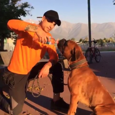 La Huella del Perro