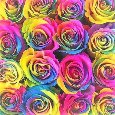 Florista Linflor
