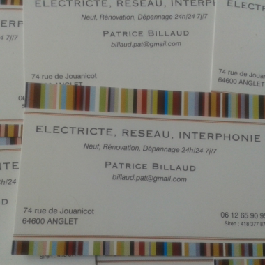 Patrice Billaud Electricité Générale
