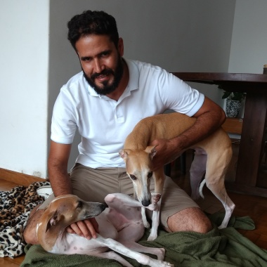 (Dog Walker) Passeador de Caes (pet sitter)hotel na sua casa