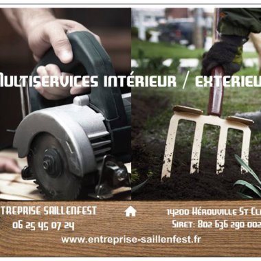 Saillenfest Dominique