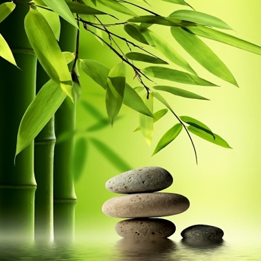Fisiomassagens - Wellness & Beauty