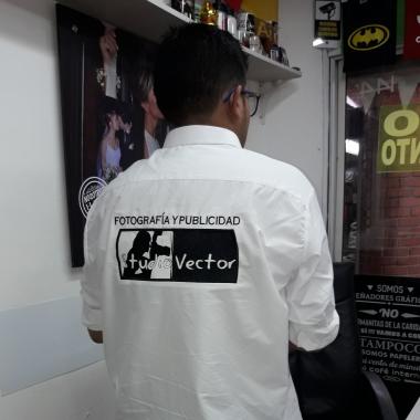 Studio Vector