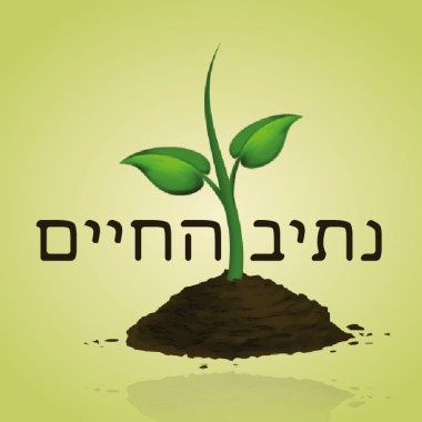 נתיב החיים - ברמי ורוניק