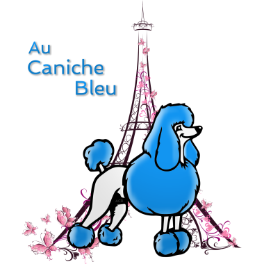 Au caniche bleu