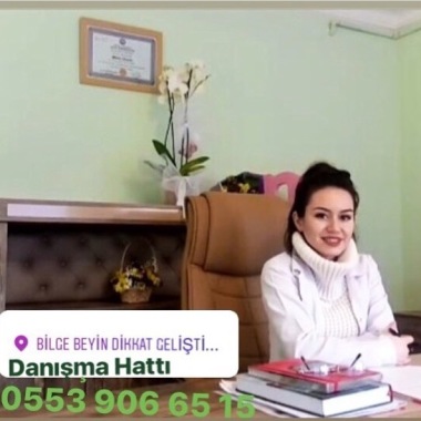 Bilge Beyin