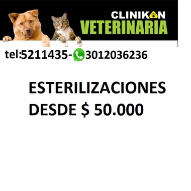 CLINICA VETERINARIA CLINIKAN