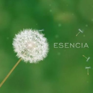 Esencia Empresarial