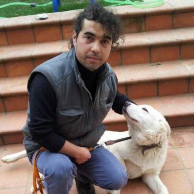 İstanbul Yerinde Pozitif Köpek Eğitim Okulu