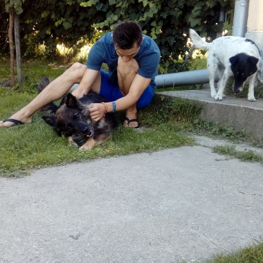Bohács Bence