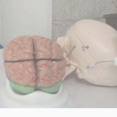 SIGLO XXI CLINICA NEUROPSICOLOGICA
