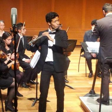 Profesor de música: Flauta, teoría y composición