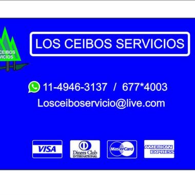 Los Ceibos - Poda Riesgosa