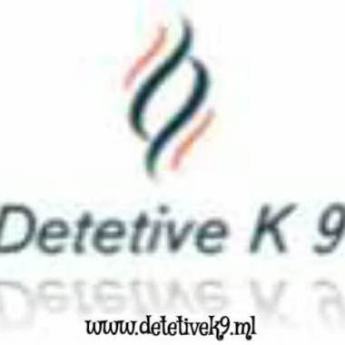 Detetivek9