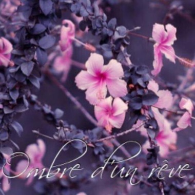 Ombre d'un Reve 