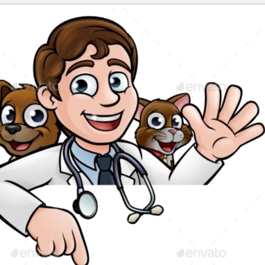 Clínica veterinária 24 horas