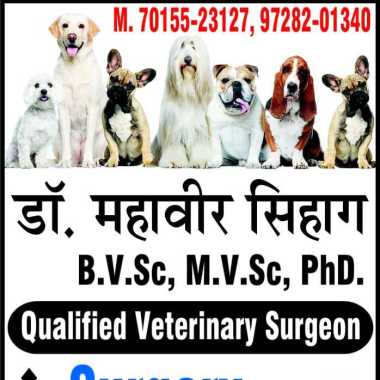 Veterinary Surgeon and Physician