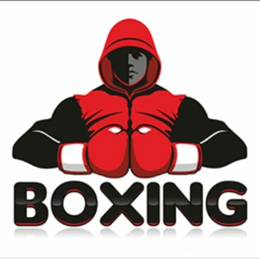 Ayan-box.srl