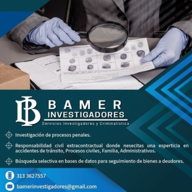 Bamer Investigadores