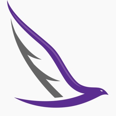 Finanzas y Estrategias Consultores - FLYE SAS