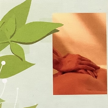 Bonnie Maier Massage Therapy
